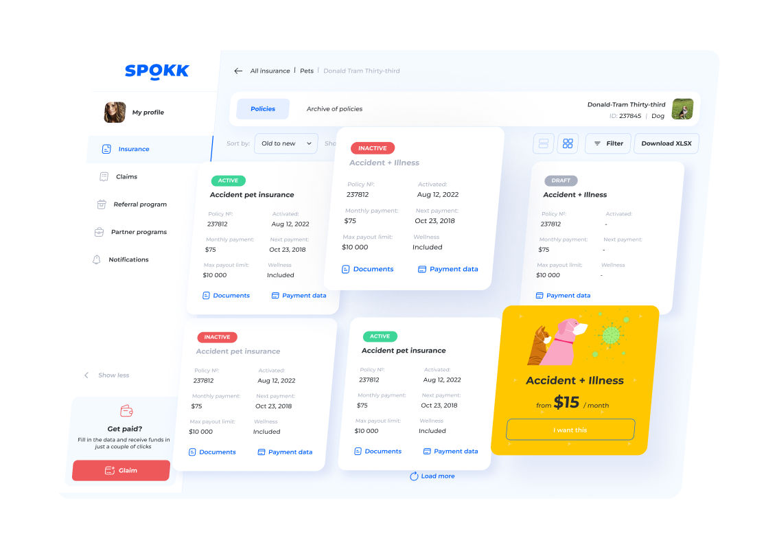 Affordable no frills pet accident and illness insurance